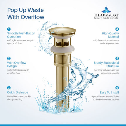Pop Up Drain with Overflow